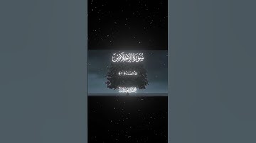 سورة الإخلاص|1-4|القارئ:#محمد_اللحيدان #قران #quran #راحة_نفسية #قران_كريم #تلاوة_هادئة #تلاوة_خاشعة