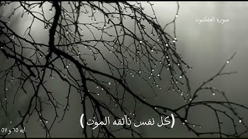سوره العنكبوت اية ٥٦ و ٥٧ للقارئ عبدالرحمن مسعد