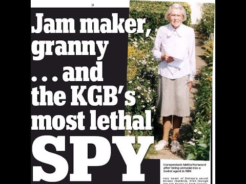 Granny Spy