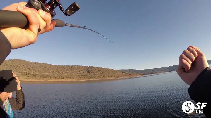 Casting Soft Plastics for Big Murray Cod