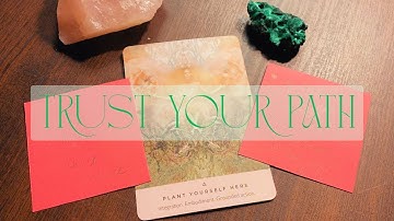 The Venusians 💌 You Belong, Lightworker Starseed: Faith In Aligning to Soul Family Relationships