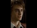 Harry&#39;s chosen family #HarryPotter #Hogwarts #Dumbledore
