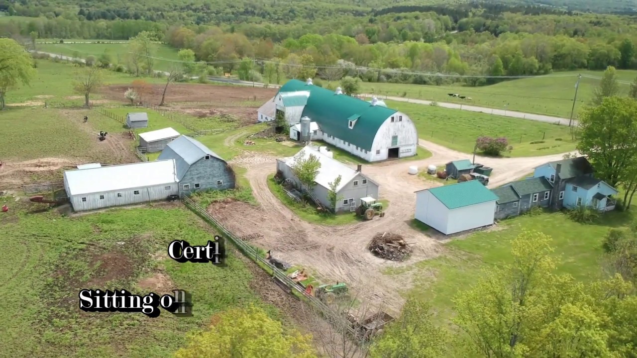 146 Acre Organic Dairy Farm with Two Homes German NY YouTube
