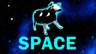 Space Cow