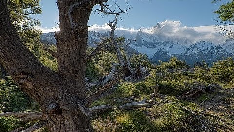 Aurora HDR 2019 Better Chromatic Aberration Removal