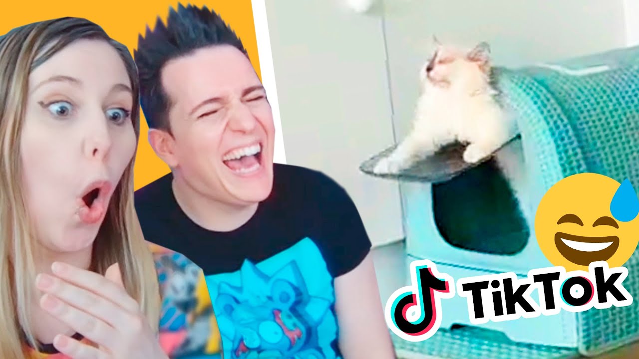 REACCIONANDO a ANIMALES GRACIOSOS de TIK TOK #3