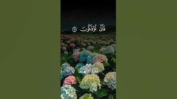 سورة الأنعام #اكسبلور #المصحف #الرحمن