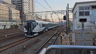 E257系2000番台NA-01編成(9両) 特急踊り子 鶴駅通過