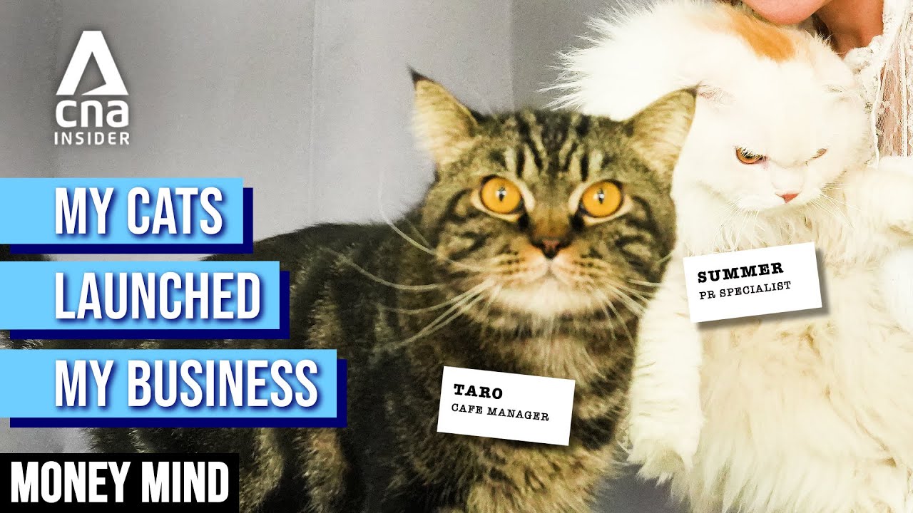 How A Retrenched Thai Gen Z's Cafe Broke Even In Three Months (With Two Furry Helpers!) | Money Mind