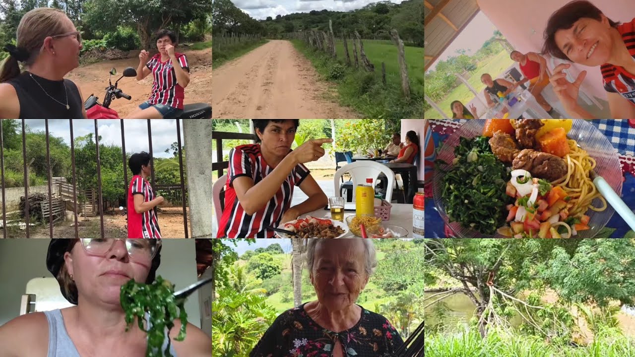 PASSEANDO UM POUQUINHO+O TROVÃO E O VENTO FOI TÃO GRANDE QUE CAIU O GALHO DA ÁRVORE.