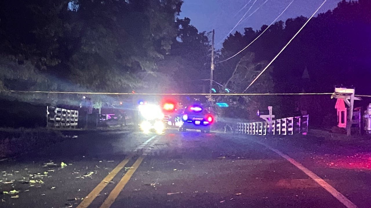 Tree limb falls on car, killing man in Cherokee County - YouTube