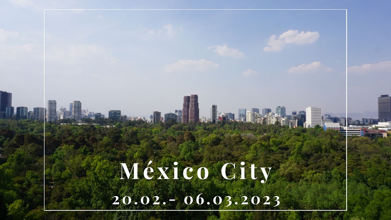 CDMX: zwischen Neonlicht und Kaktusblüten 