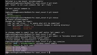 DevOps | GIT | Git Reset (Regular and Hard Reset) and Revert Lab in Telugu | ✆ WhatsApp (9885573740)
