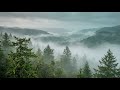 2 Hours Deep Forest Music for ADHD 🌿 Focus, Study &amp; Concentration