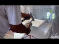 Chicago Cabinet Refinishing - Refinish Those Cabinets!