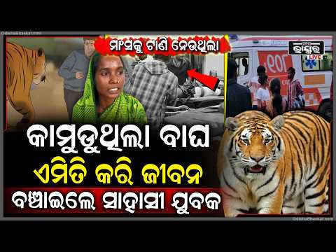 ଝାମ୍ପ ମାରିଲା ମହାବଳ ବାଘ,ବଞ୍ଚାଅ ବଞ୍ଚାଅ କହି ଚିତ୍କାର କରୁଥିଲେ ଯୁବକ ଉପସ୍ଥିତ ବୁଦ୍ଧି ଲଗାଇ ଏମିତି କଲେ ଗାଁ ଲୋକେ