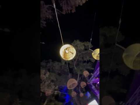 RIM SUMMER FESTIVAL الجنوب قصبة موسيقة حزينه2018