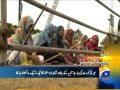 Headlines-29 2014-1100