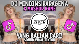 DJ MASHUP TERBARU MINION PAPAGENA X MELODY KANE X GANGSTER SARIBUAN SOUND VIRAL TIKTOK