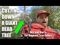 Felling A Giant Dead Fir Tree w/ A 30-Year Logger - Dos And Don'ts