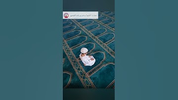 كَلَّا لَا وَزَرَ (سورة القيامة الآية 11)