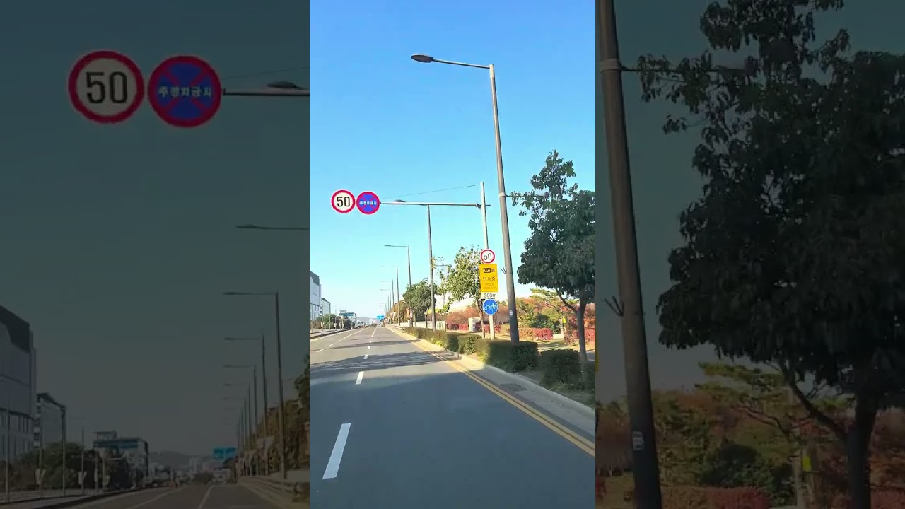 #진주시내버스 #진주290번시내버스 #진주290번시내버스하행 #문산노인병원에서진양호차고지방향 #노선안내 #진주시민을안전하고친절하게