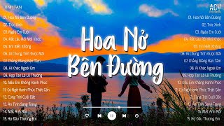 Mây Lấp Đi Cả Vùng Trời Chói Nắng...Hoa Nở Bên Đường, Ngày Em Cưới | LK ACV Nhạc Trẻ Nhẹ Nhàng 2024