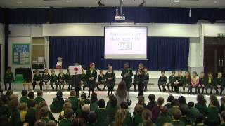 owls assembly