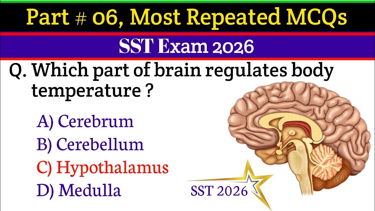 Part # 06 || Top 30 MCQs for SST Exam Preparation | Social Studies, Science & General Knowledge