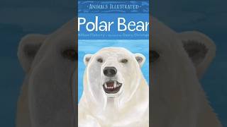 #animalfacts #northpole #polarbear #terrifying #carnivore