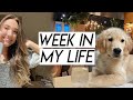 WEEK IN MY LIFE | spring haul, clothing insecurities, training cash, & a date night!