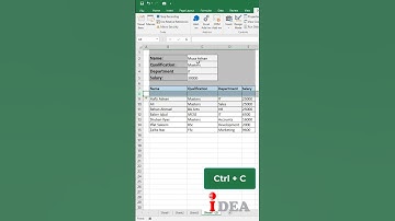 Learn How to record macro in excel | insert data Using macro in excel | #excel