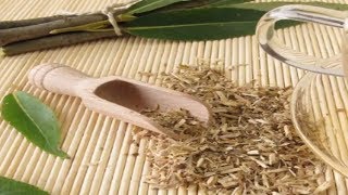 Aspirin Natural Source  -  How To Make Your Own Aspirin
