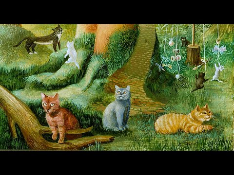 Video: Los Amantes De Los Gatos Se Unen Para Una Exposición De Arte De Gatos única