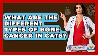 What Are The Different Types Of Bone Cancer In Cats? - Ask A Pet Vet