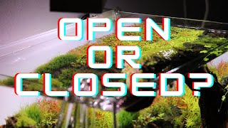 Open Top vs Closed Top Aquariums  Why I Prefer Rimless Tanks