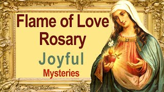 Flame of Love Rosary - Joyful Mysteries, for Saturday and Monday w Candlemas pictures