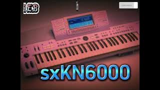 dj remix KN6000