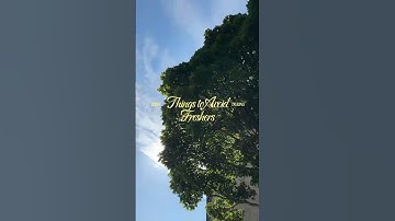 3 Things to Avoid During Freshers Week