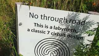 The not so amazing maze