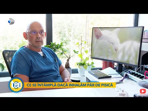 Teo Show (25.09.2022)