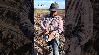 Así Se Pone Y Quita El Calzón