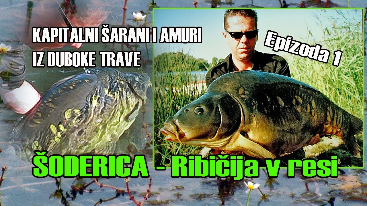 ŠARANolov iz čamca, Markiranje i priprema hranilišta - Koprivnička Šoderica E-1/6 / VSP Igor Pavičić