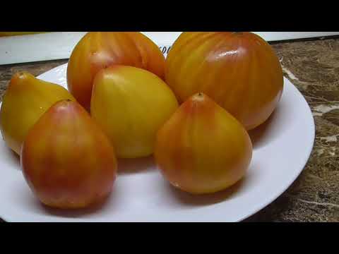 Video: Adeline помидору: эмне жакшы жана аны өстүрүү керекпи?