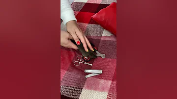 Обрезаем ногти Крысе в домашних условиях/Cutting the rat’s claws at home