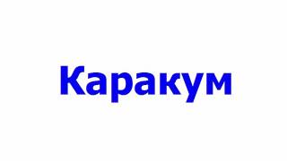 Каракум группа ЯЛЛА