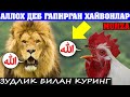 АЛЛОҲ ТАОЛОНИНГ МУЖИЗАЛАРИ 4-Қисм Ҳамма кӯрсин...