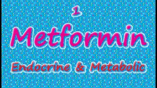 1 Metformin  Cornerstone Therapy for Type 2 Diabetes