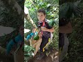 cojiendo aguacate 🥑 con mi mujer y mis hijos bendiciones