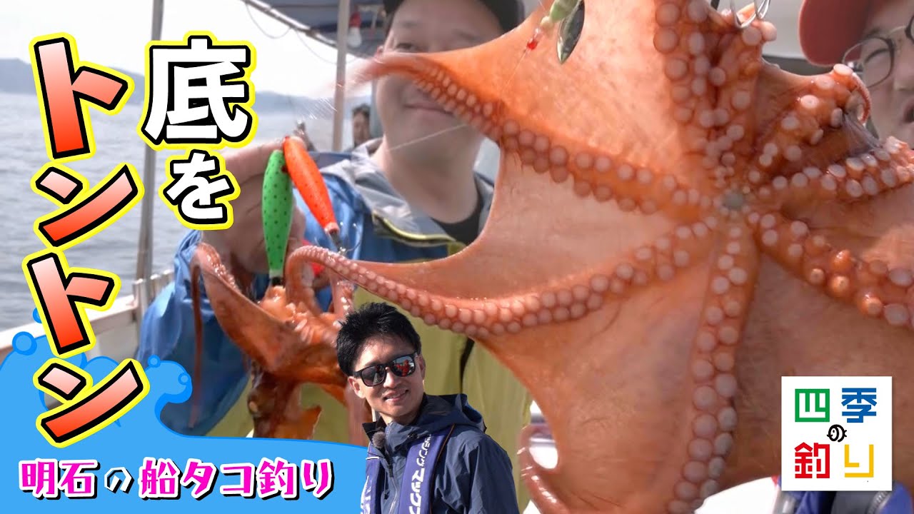 開幕！明石の船タコ釣り ブランドの明石タコを釣りましょう！（四季の